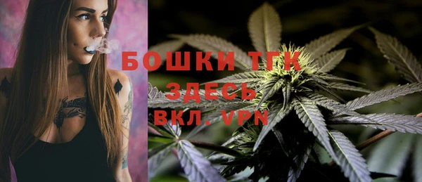 мдпв Иннополис